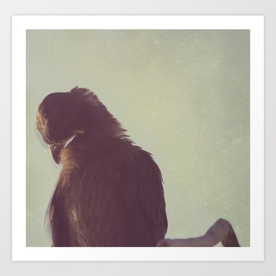 Bird Art Print