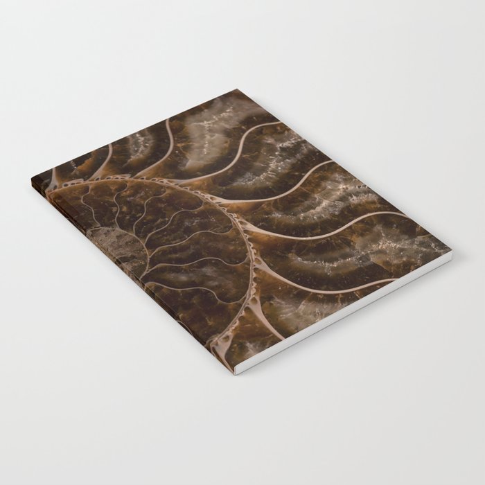 Brown Ammonite Notebook