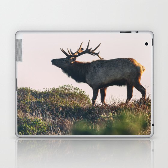 Elk Bull Laptop & iPad Skin