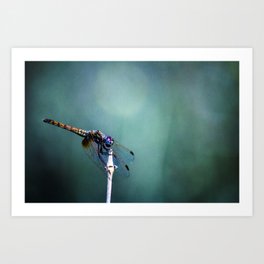 Magic Dragonfly Art Print | Insects, Editing, Dragonfly, Lake, Desktop, Blue, Green, Digital, Background, Animal 