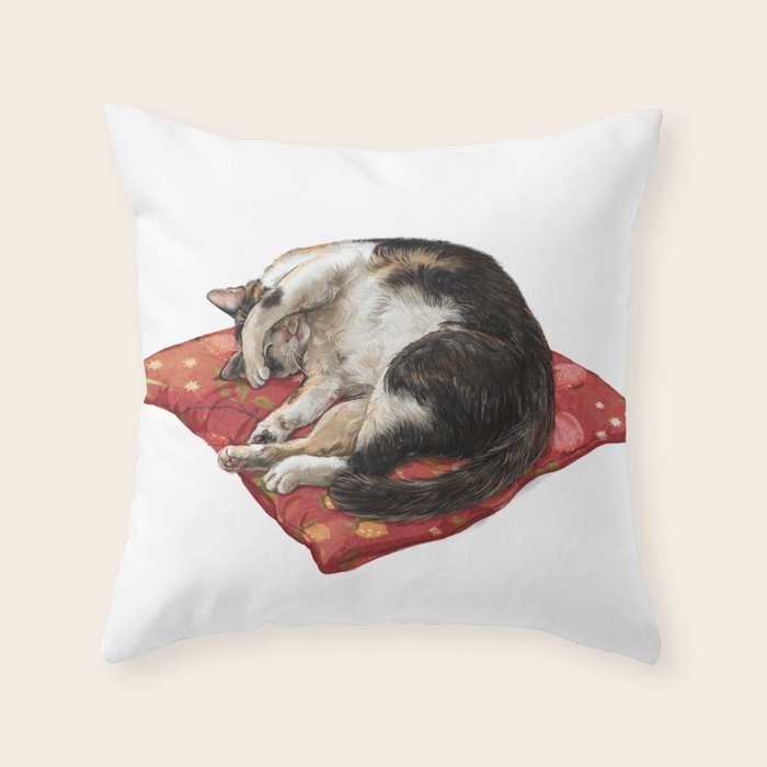 Throw Pillow