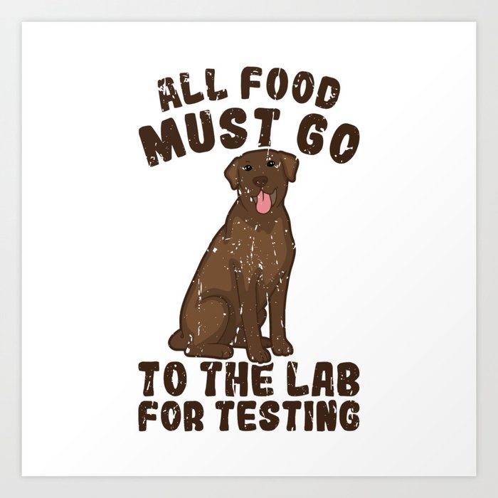 Labrador favorite best sale food