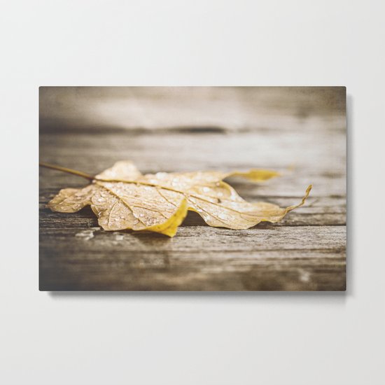 landed Metal Print