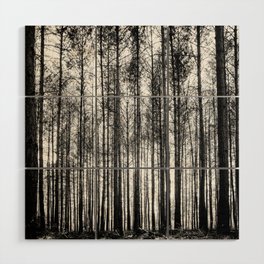 trees in forest landscape - black and white nature photography Wood Wall Art