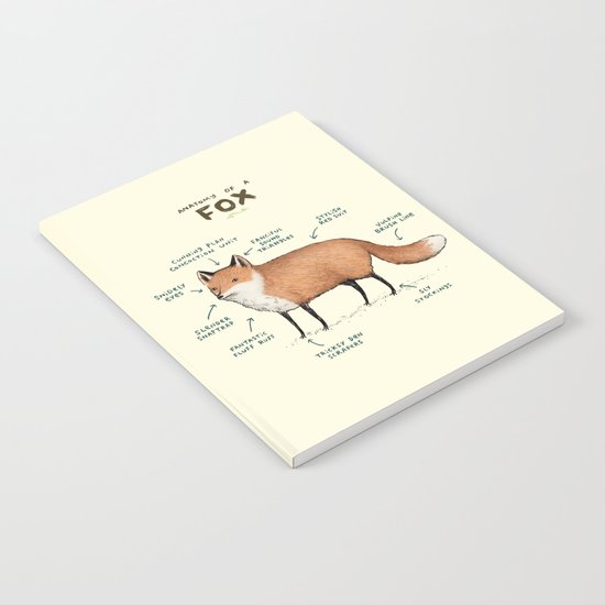 Anatomy of a Fox Notebook