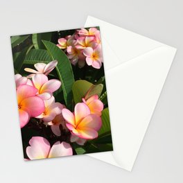 Frangipani Flowers Queensland Australia Stationery Card