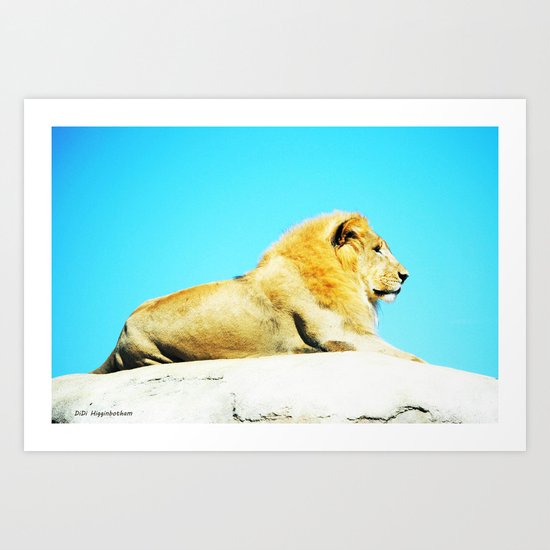 The Lion Art Print