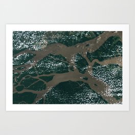 Amazon River Art Print