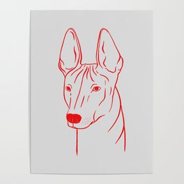 Xoloitzcuintli (Light Gray and Red) Poster