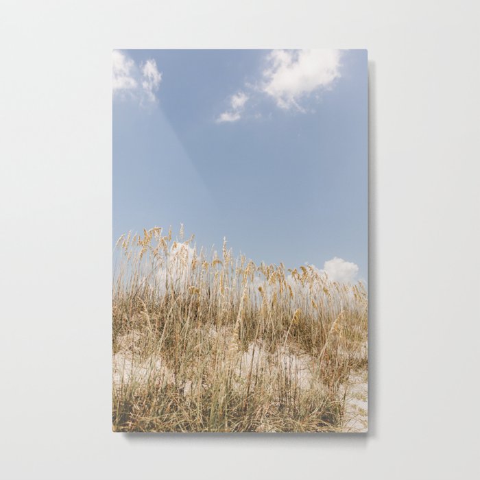 tybee island, georgia iv Metal Print