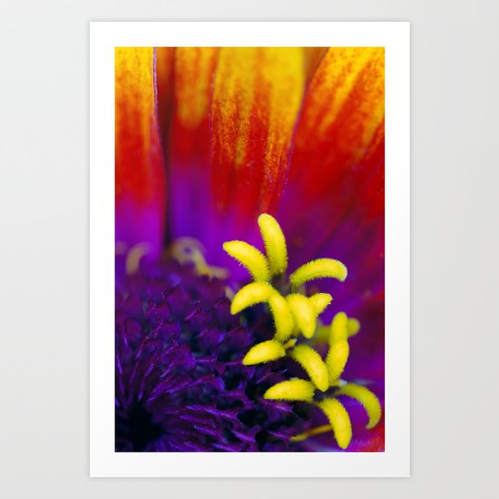 Tiny Garden Art Print