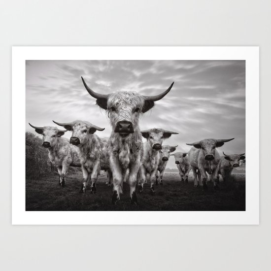 Highland Cattle Mixed Breed Mono Art Print