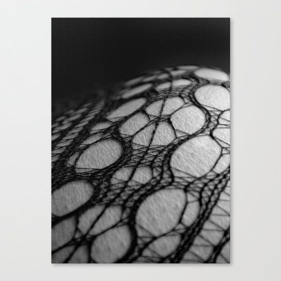 The Skin I'm In Canvas Print