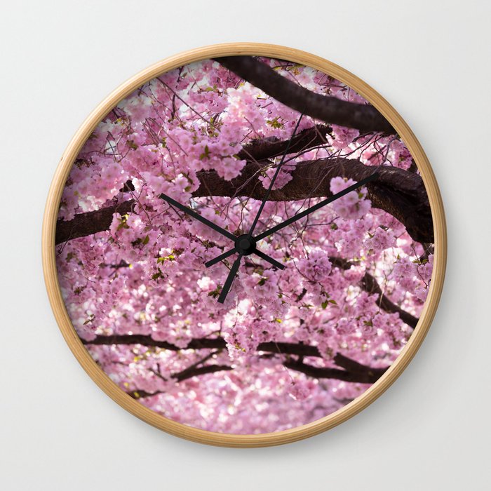 Cherry Blossom Trees Wall Clock