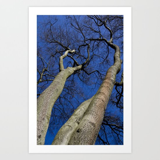 Reach For the sky Art Print