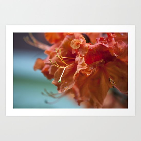 Summertime Art Print