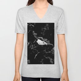 Bald Eagle in flight black and white V Neck T Shirt