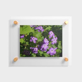 Purple Flowers Floating Acrylic Print