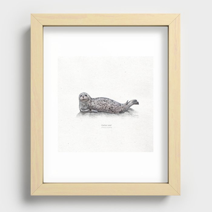 Harbor seal scientific illustration art prints Art Print by