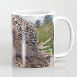 hedgehog grass dry branches muzzle Coffee Mug