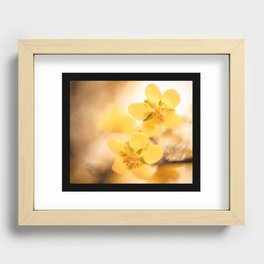 Soft Yellow  Recessed Framed Print