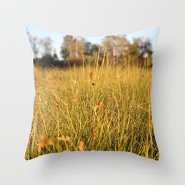 grassy field sunset Throw Pillow
