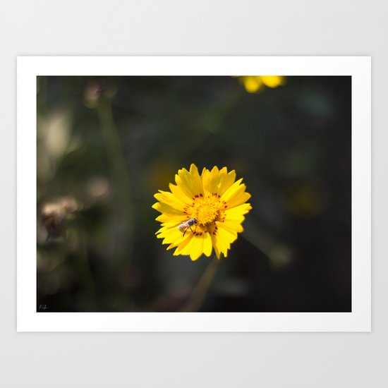 Busy Bee Art Print