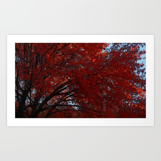 Fall Art Print