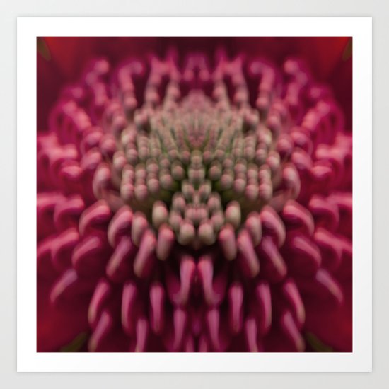Silky purple Art Print
