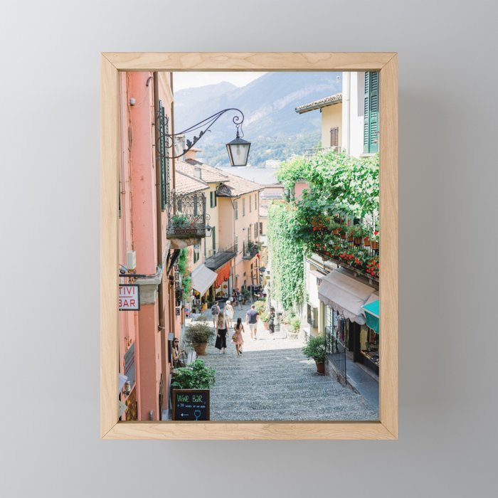 Framed Mini Art Print