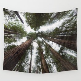 Redwood Portal - nature photography Wall Tapestry