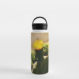 Yellow cactus flower | Prickly pear nopal in the desert | Opuntia humifusa Water Bottle
