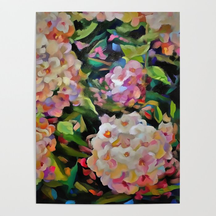 Hydrangea Blossom Poster