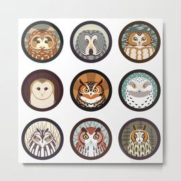 Owls of the Eastern United States Metal Print | Face, Jadafitch, America, Bird, Ornithology, Kids, Graphicdesign, Newengland, Design, Maine 