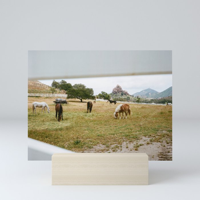 Malibu Neighbors | Horses in Malibu wine country Mini Art Print