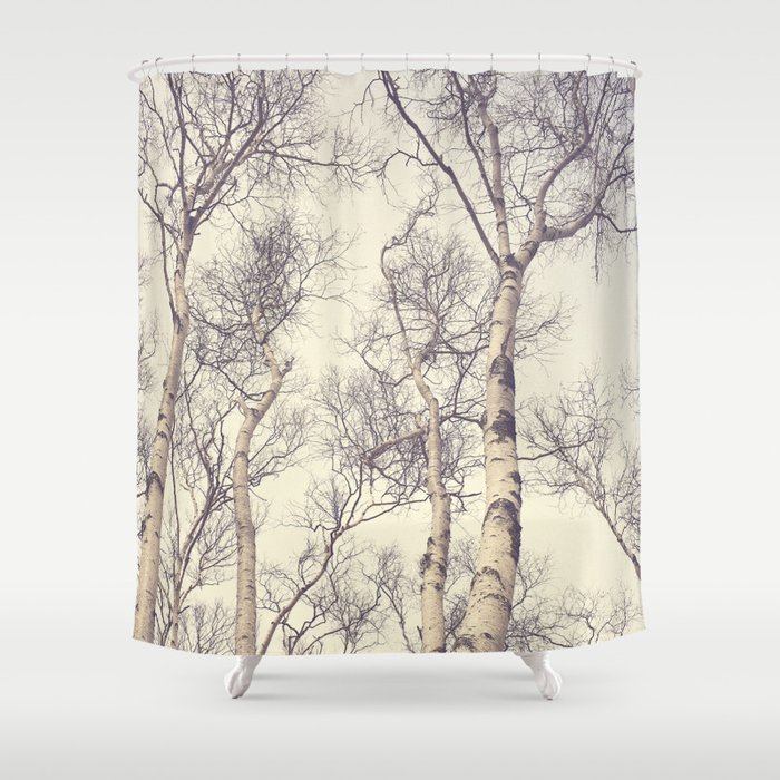 Winter Birch Trees Shower Curtain By Joystclaire Society6