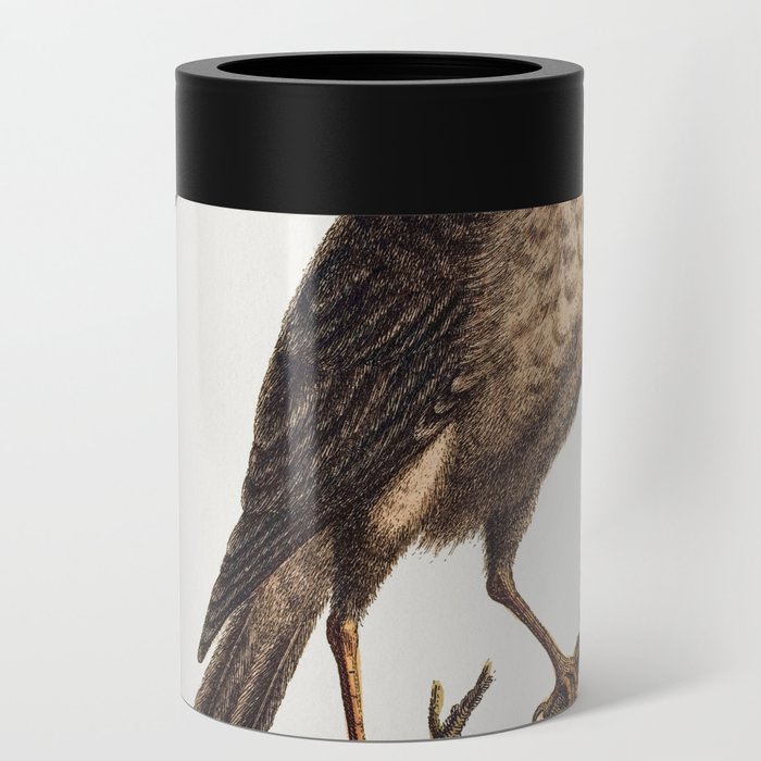 Vintage bird illustration Can Cooler