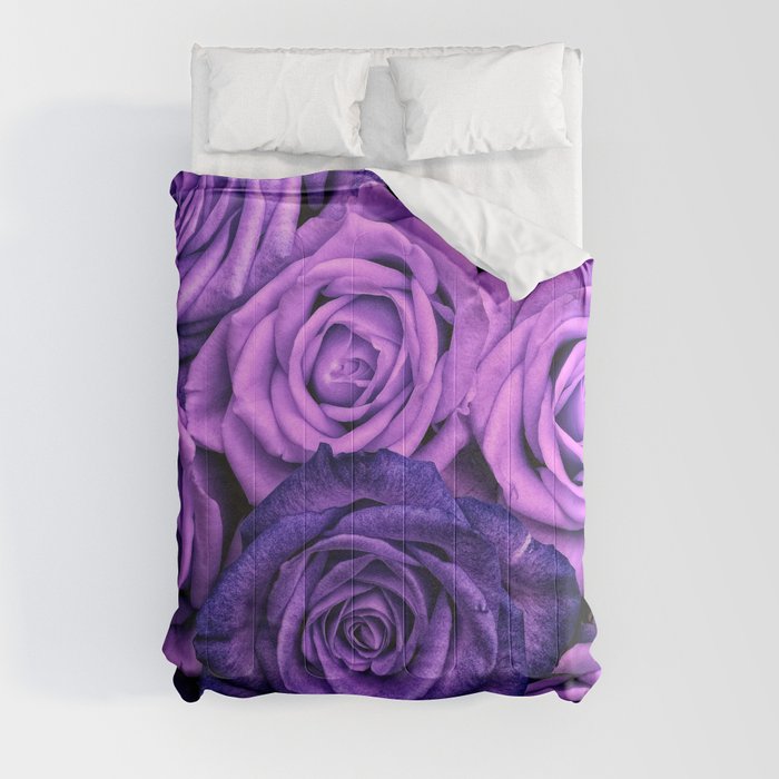 Purple Roses Comforter