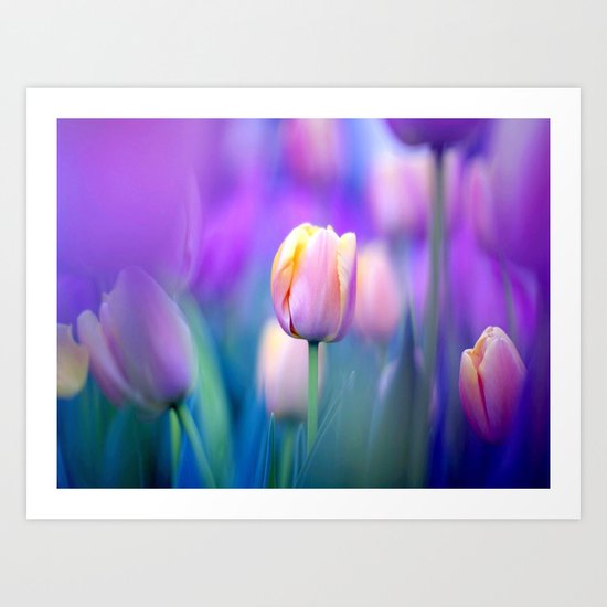 Tulips , Flowers , Tulips , Flowers games, Tulips , Flowers blanket, Tulips , Art Print