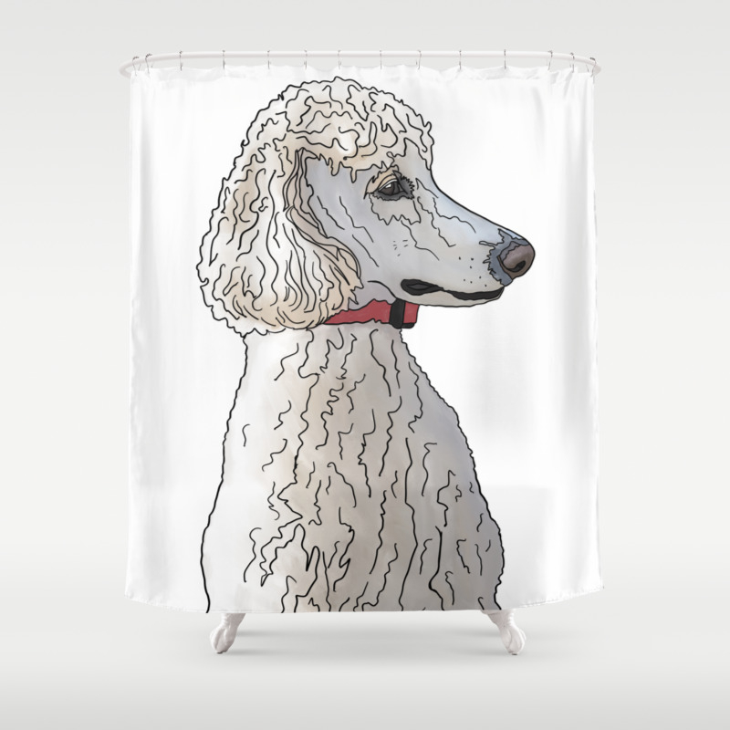 Kyah The White Standard Poodle Shower Curtain By Quickbrownfoxcda