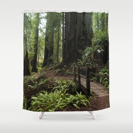 Redwood Roaming - California Wanderlust Shower Curtain
