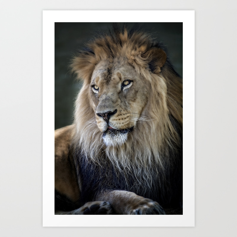 In The Jungle The Mighty Jungle Art Print By Saijalehtonen Society6 In The Jungle The Mighty Jungle Art Print By Saijalehtonen Society6