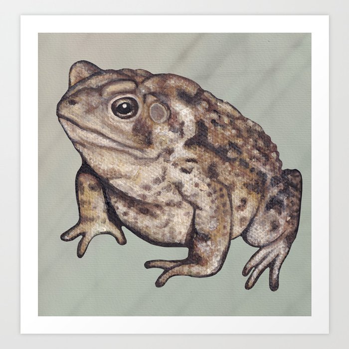 Little Toad Art Print