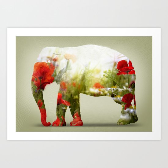 Poppy Art Print