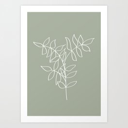 Sage Green, Plant Line Art Illustration Art Print