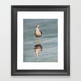 seagull two Framed Art Print