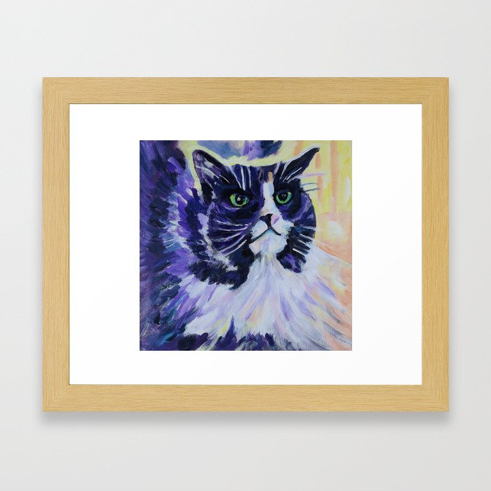 barbs cat Framed Art Print