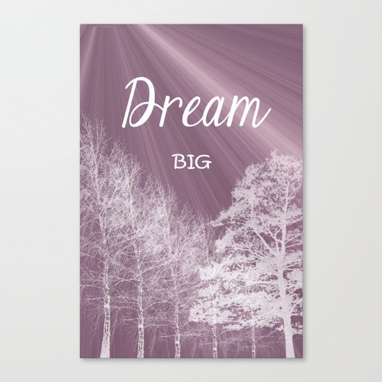 Dream Big Canvas Print