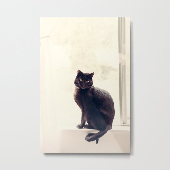 Buddy Metal Print