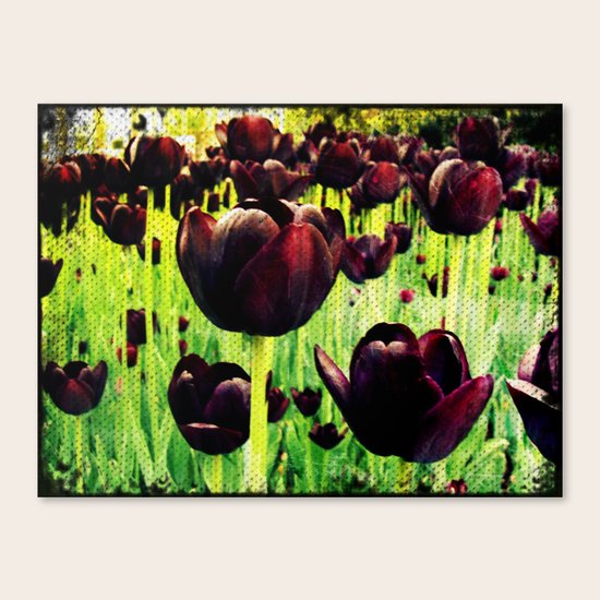 Tulips Canvas Print